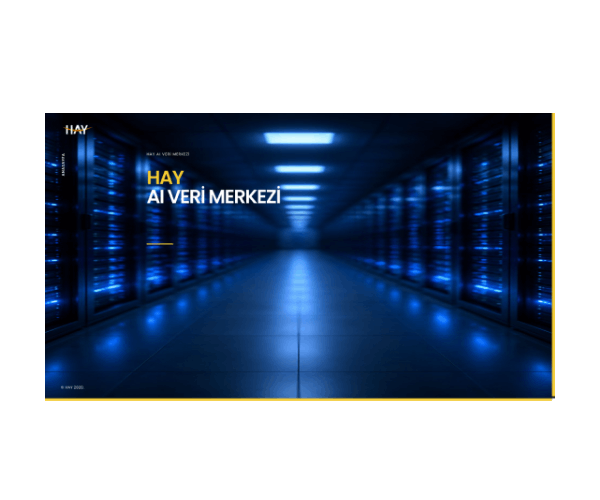 ビジネス・経済 Reward Management / Hay group HAY GRUP